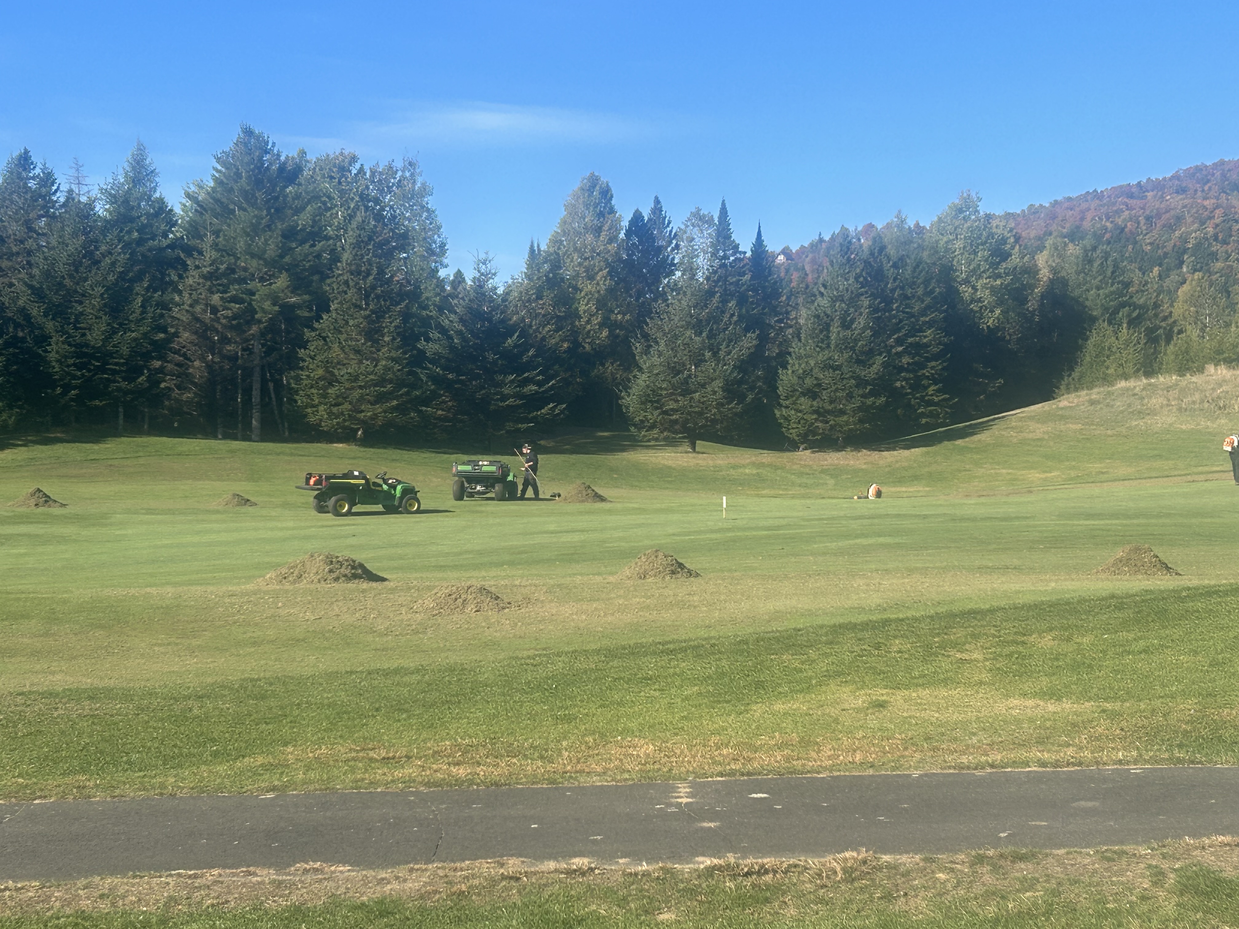 Turf_3.jpg (4032×3024)
