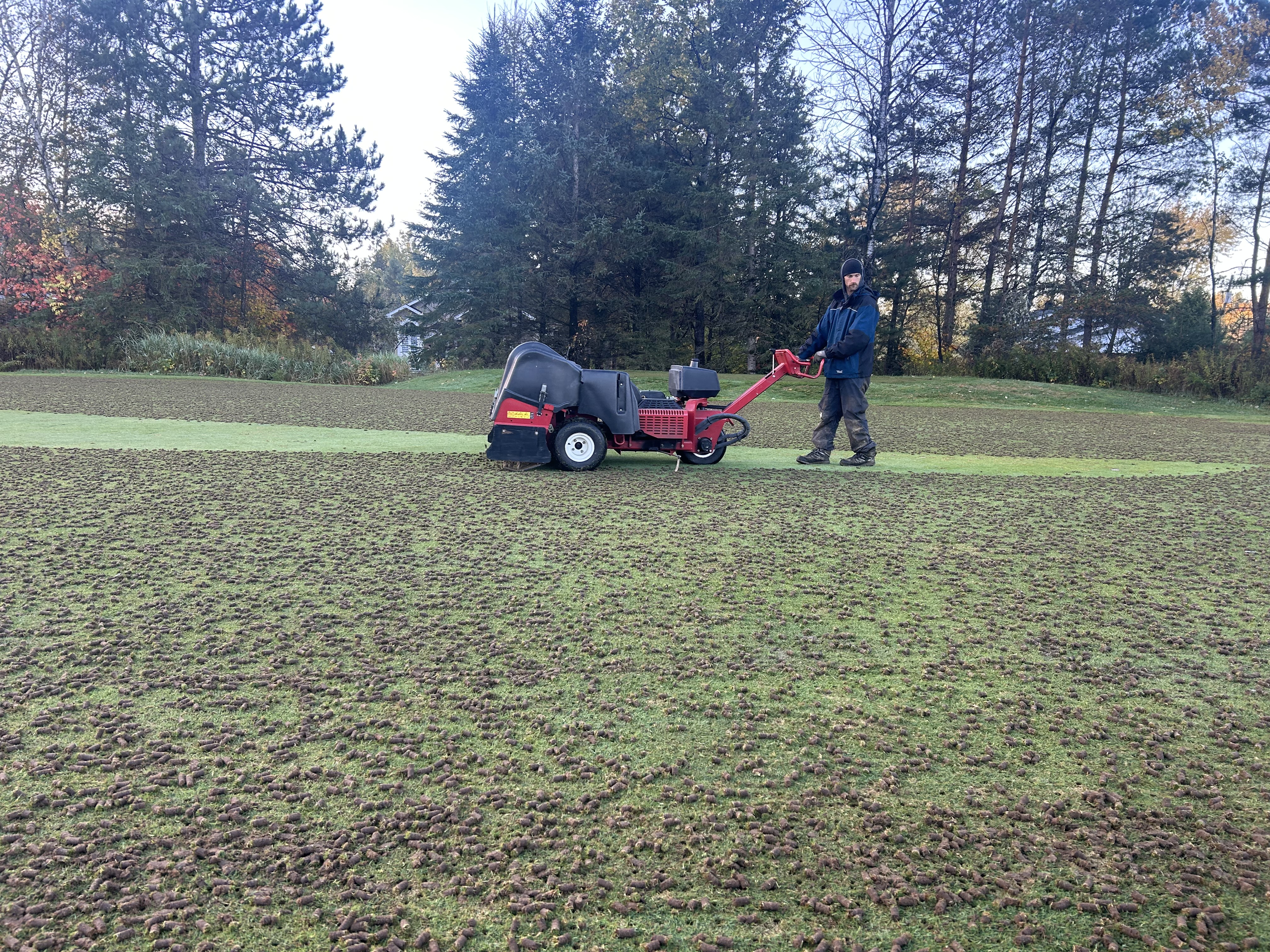 Turf1.jpg (4032×3024)
