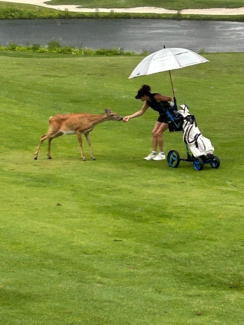 pic_week.jpg (480×640)