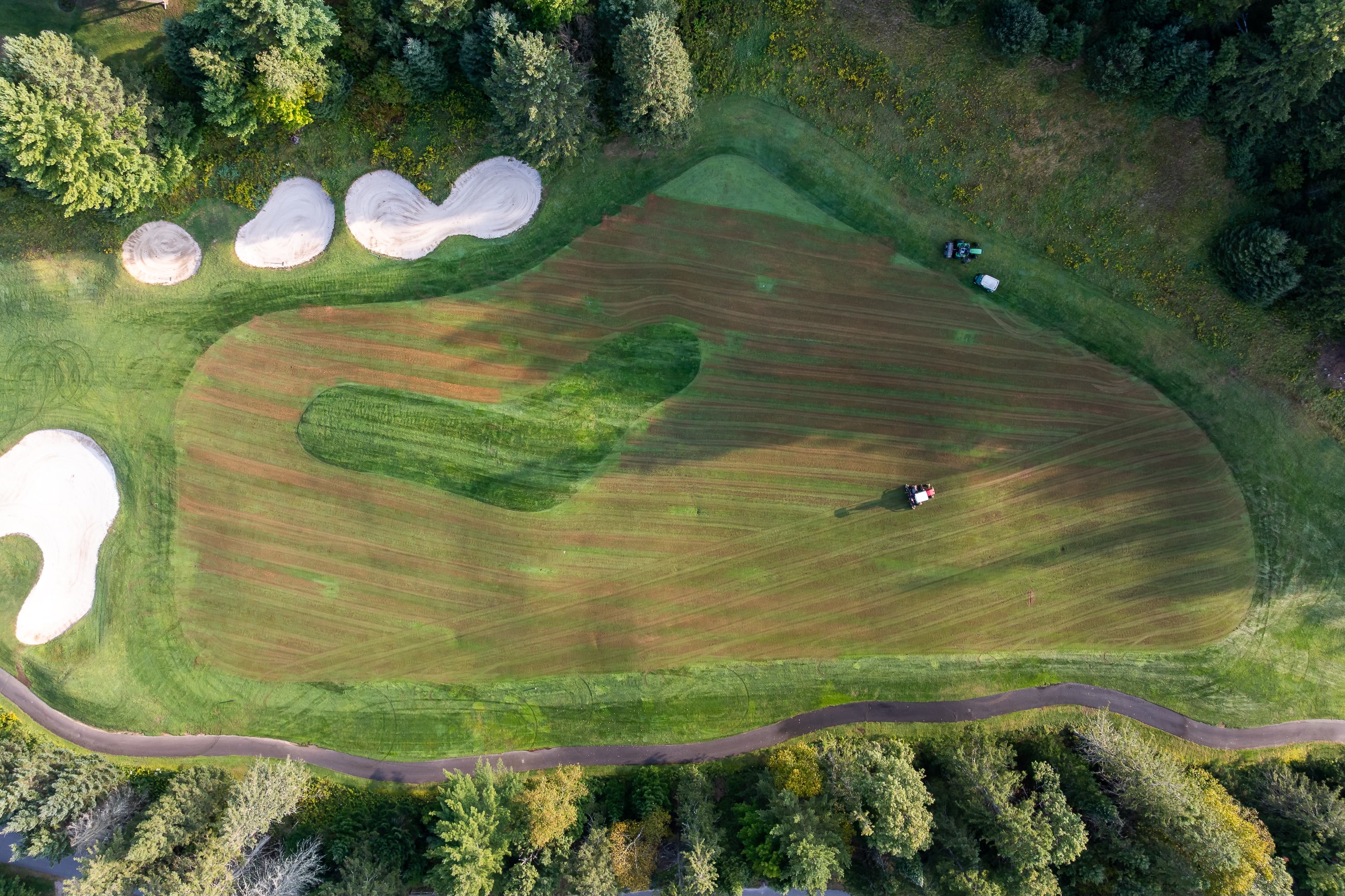 Turf3.jpg (3000×1999)