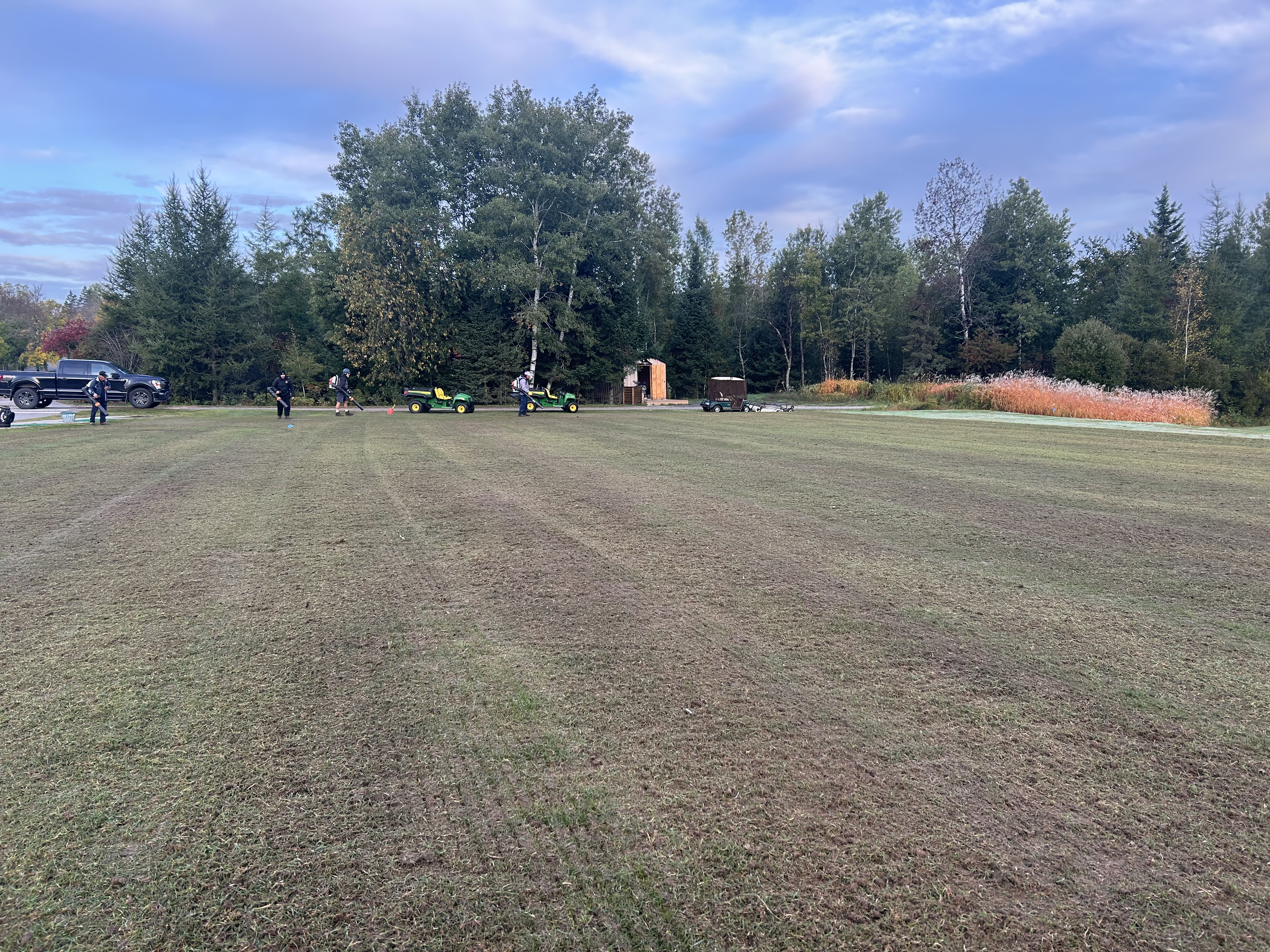 Turf1.jpg (4032×3024)