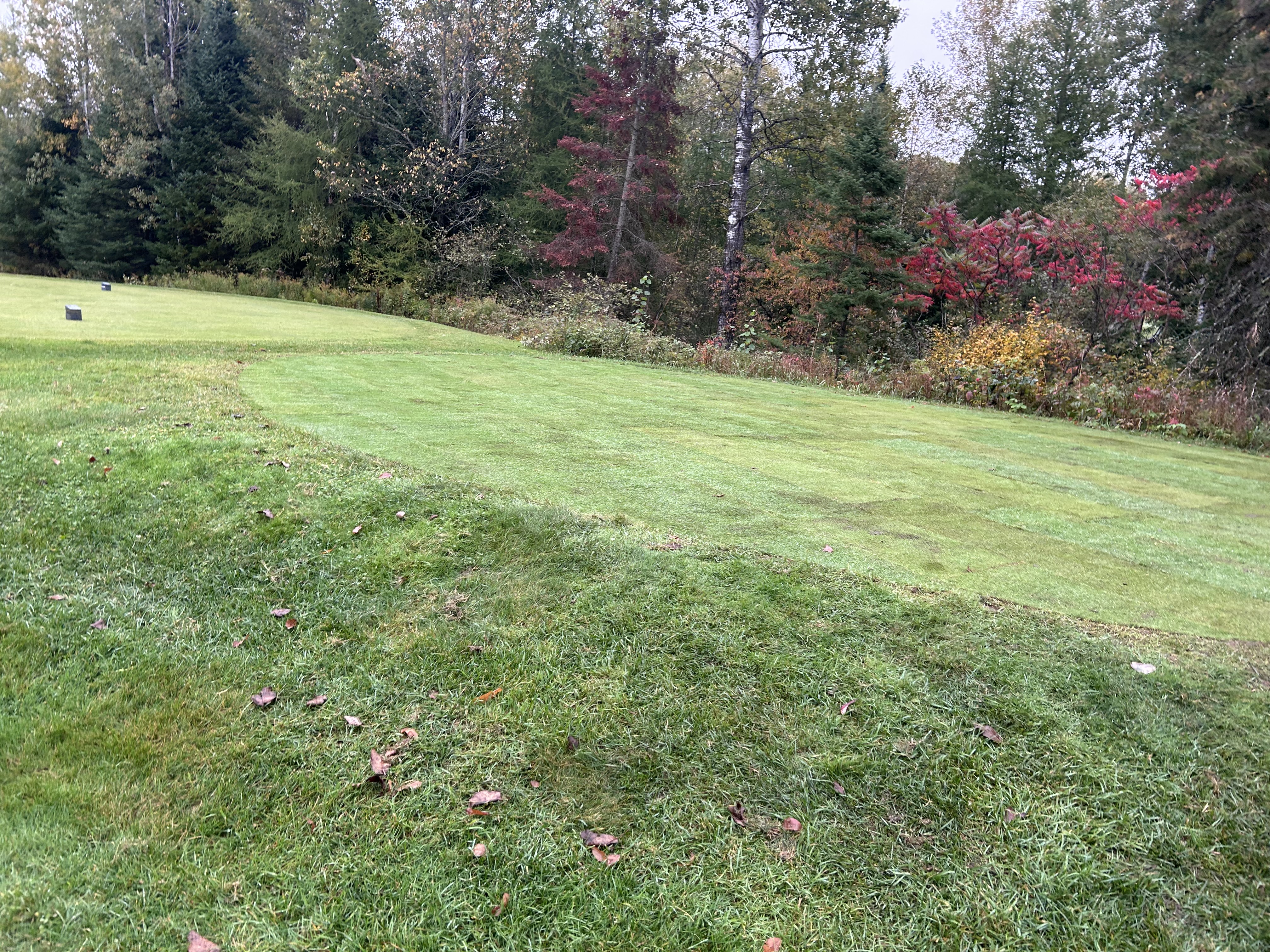 Turf3.jpeg (4032×3024)