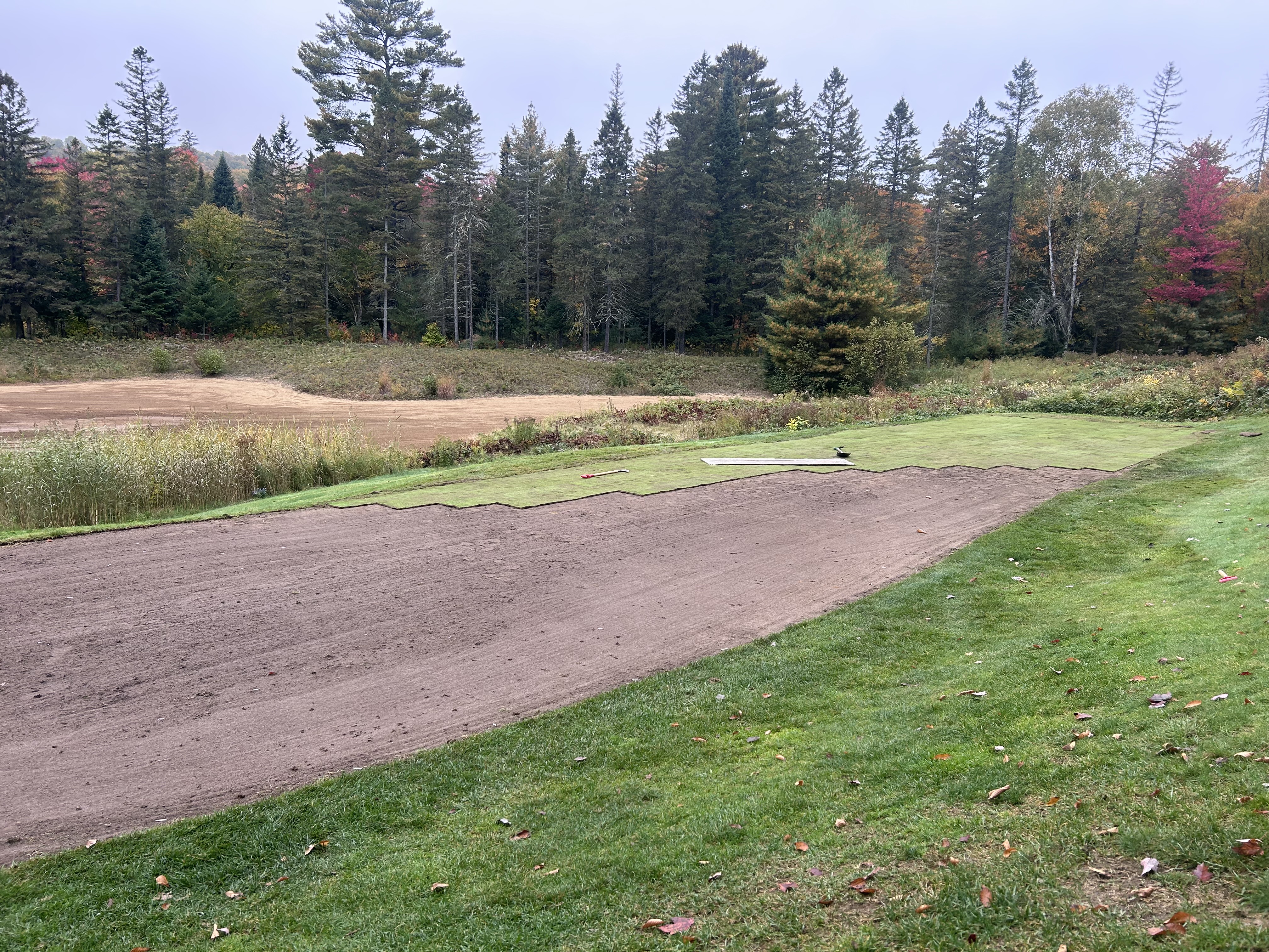 Turf4.jpeg (4032×3024)