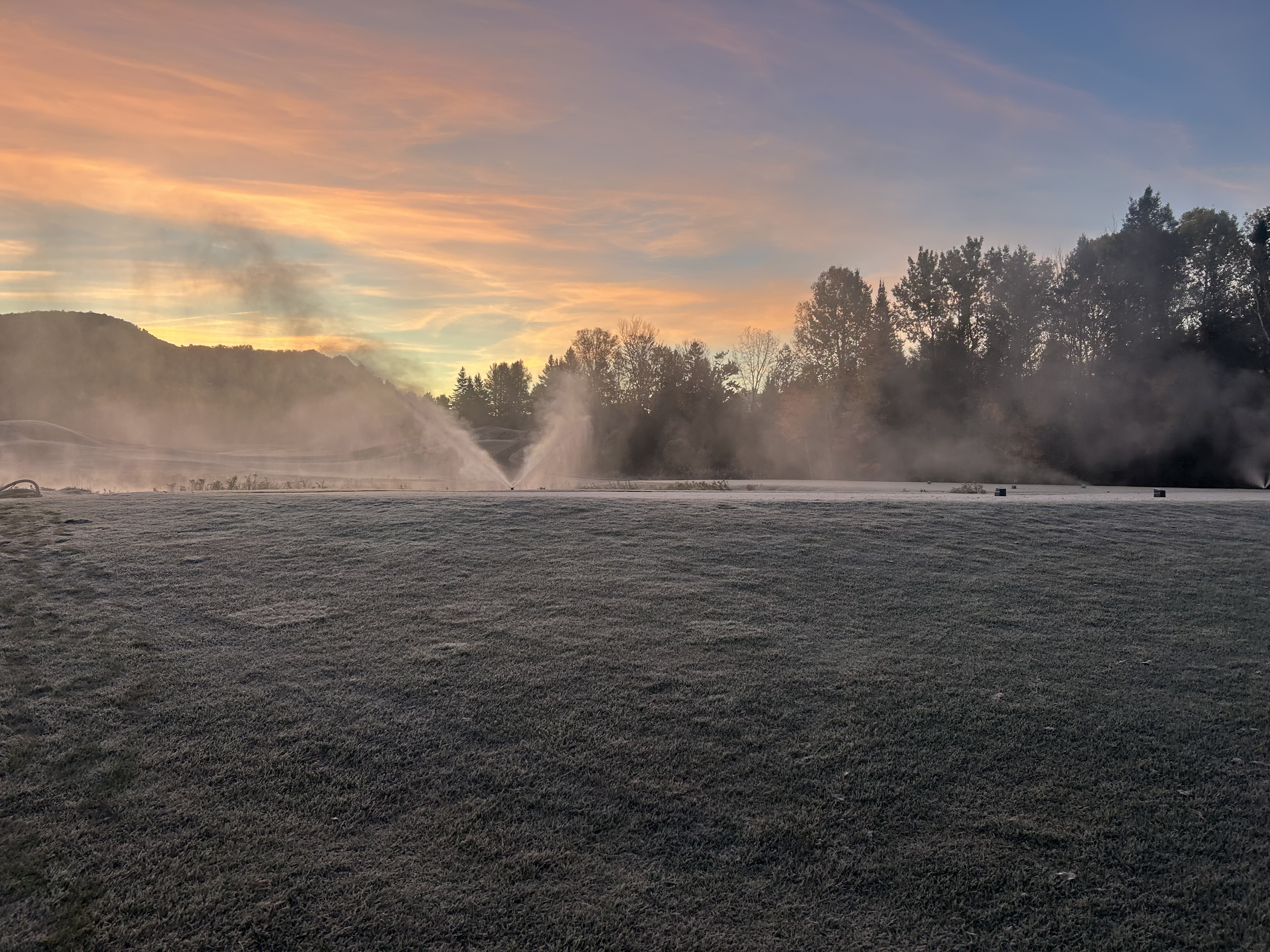 Turf4.jpeg (4032×3024)