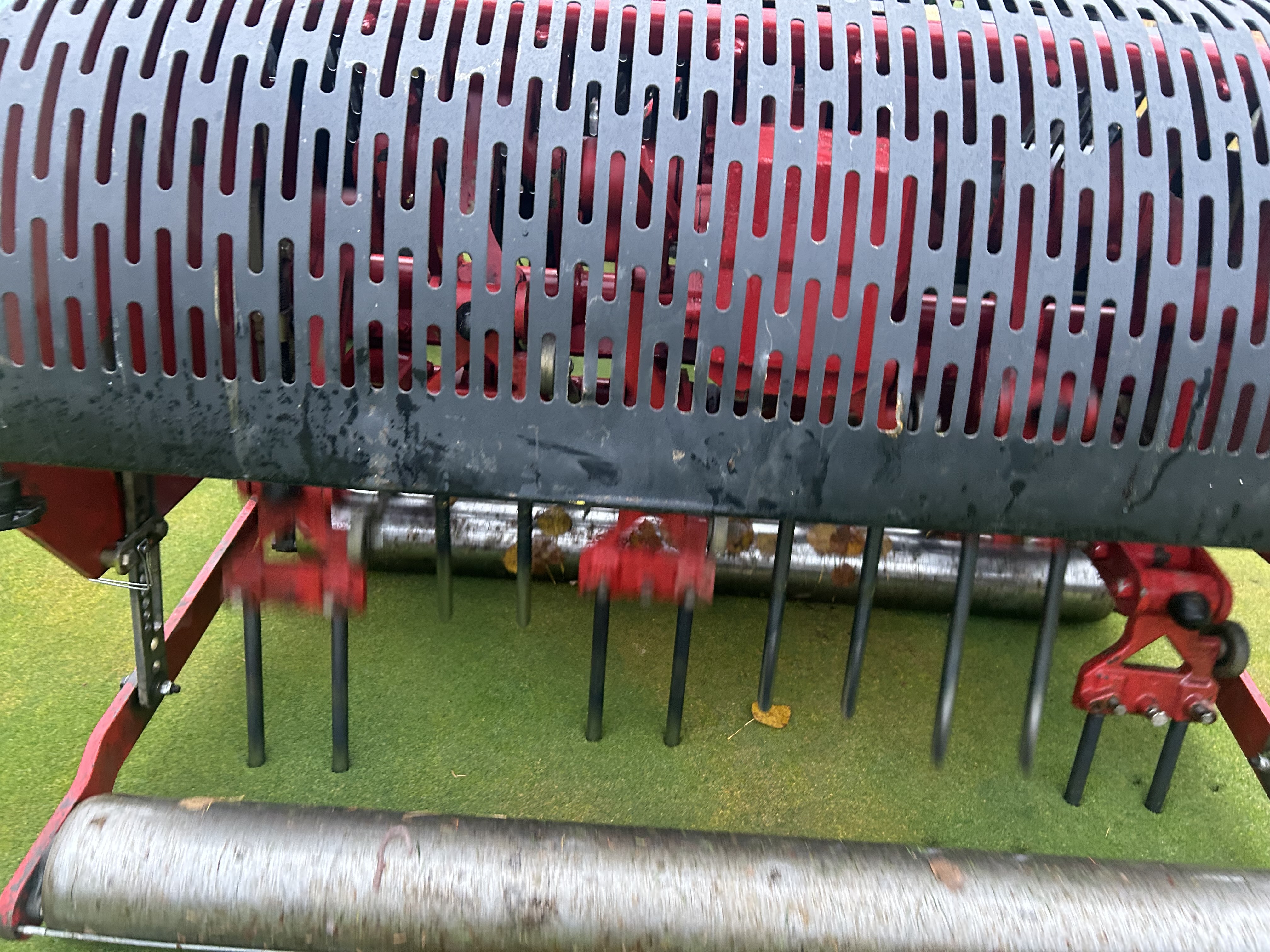 Turf2.jpeg (4032×3024)