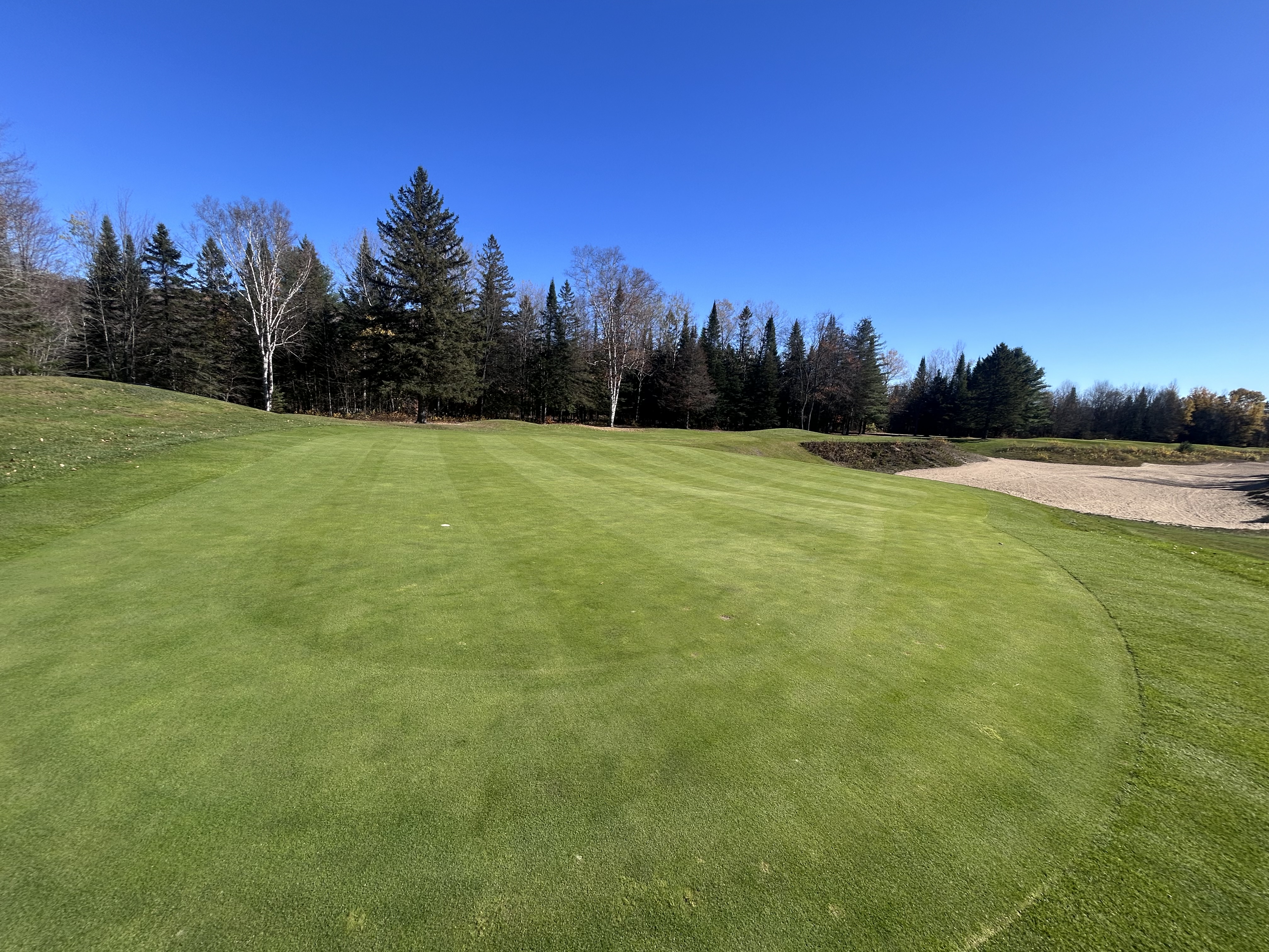 Turf1.jpeg (4032×3024)