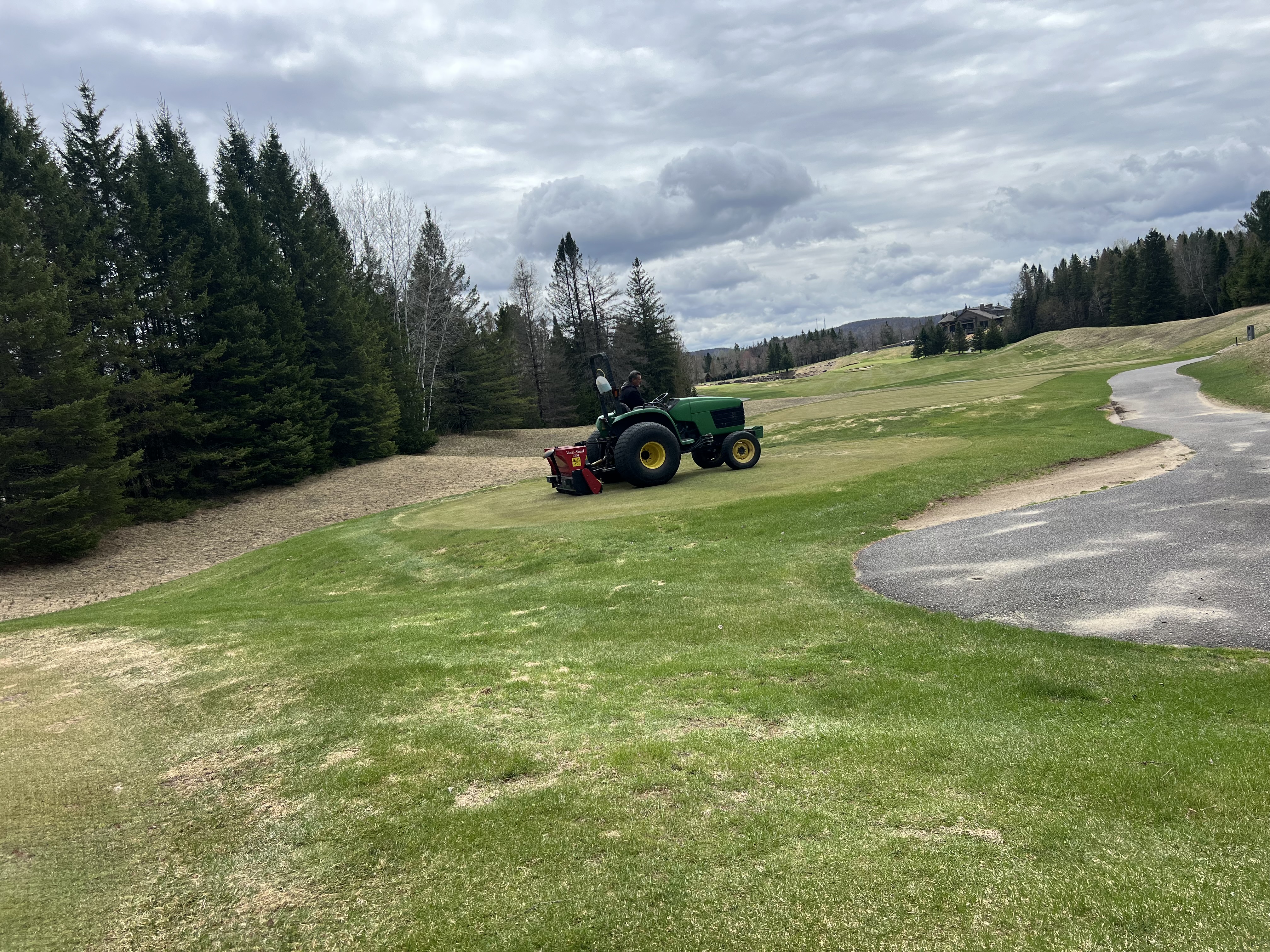 overseeding.jpeg (4032&times;3024)