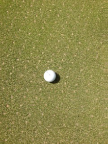 turf1.png (212&times;282)