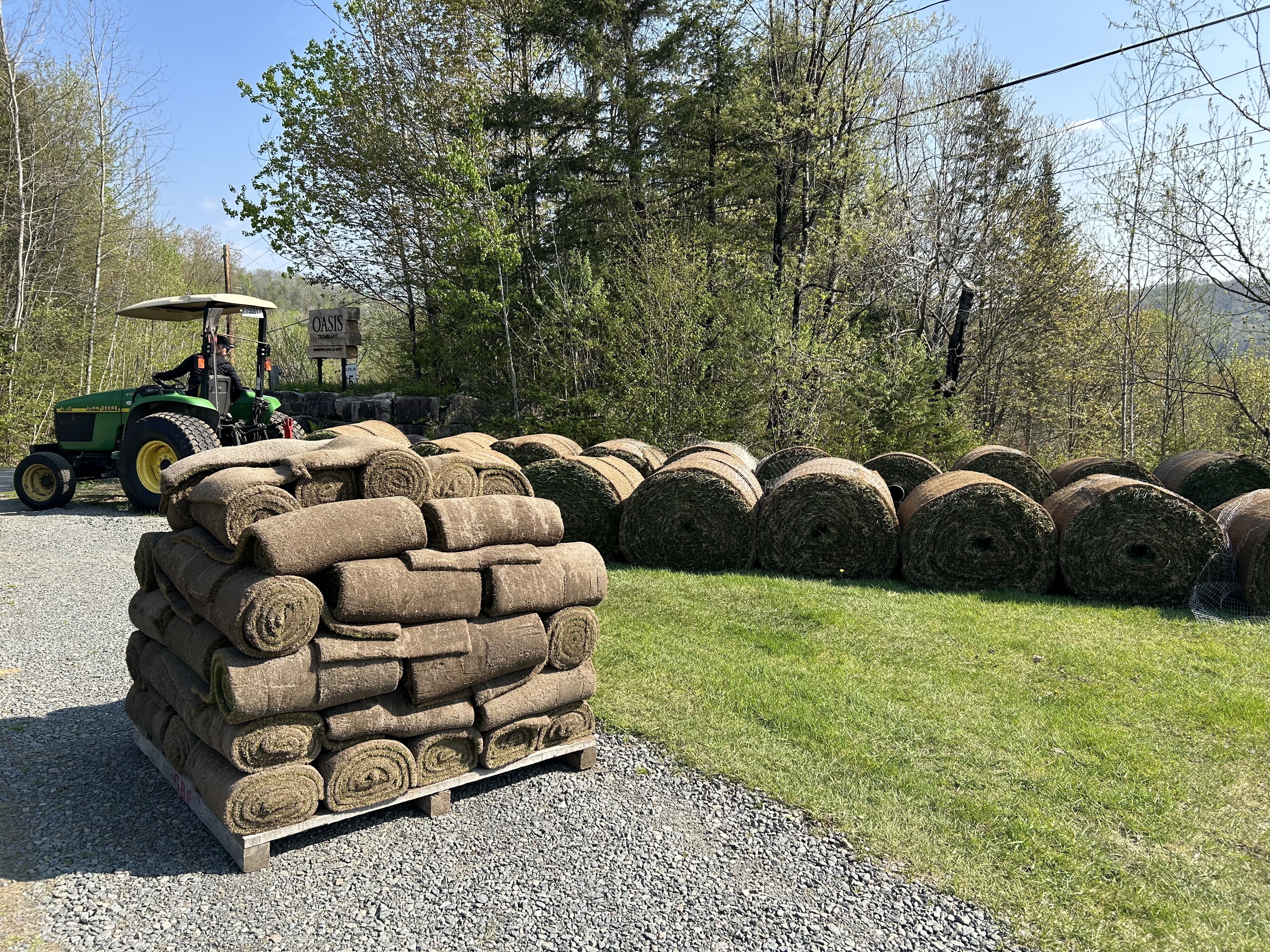 Turf.jpeg (4032×3024)