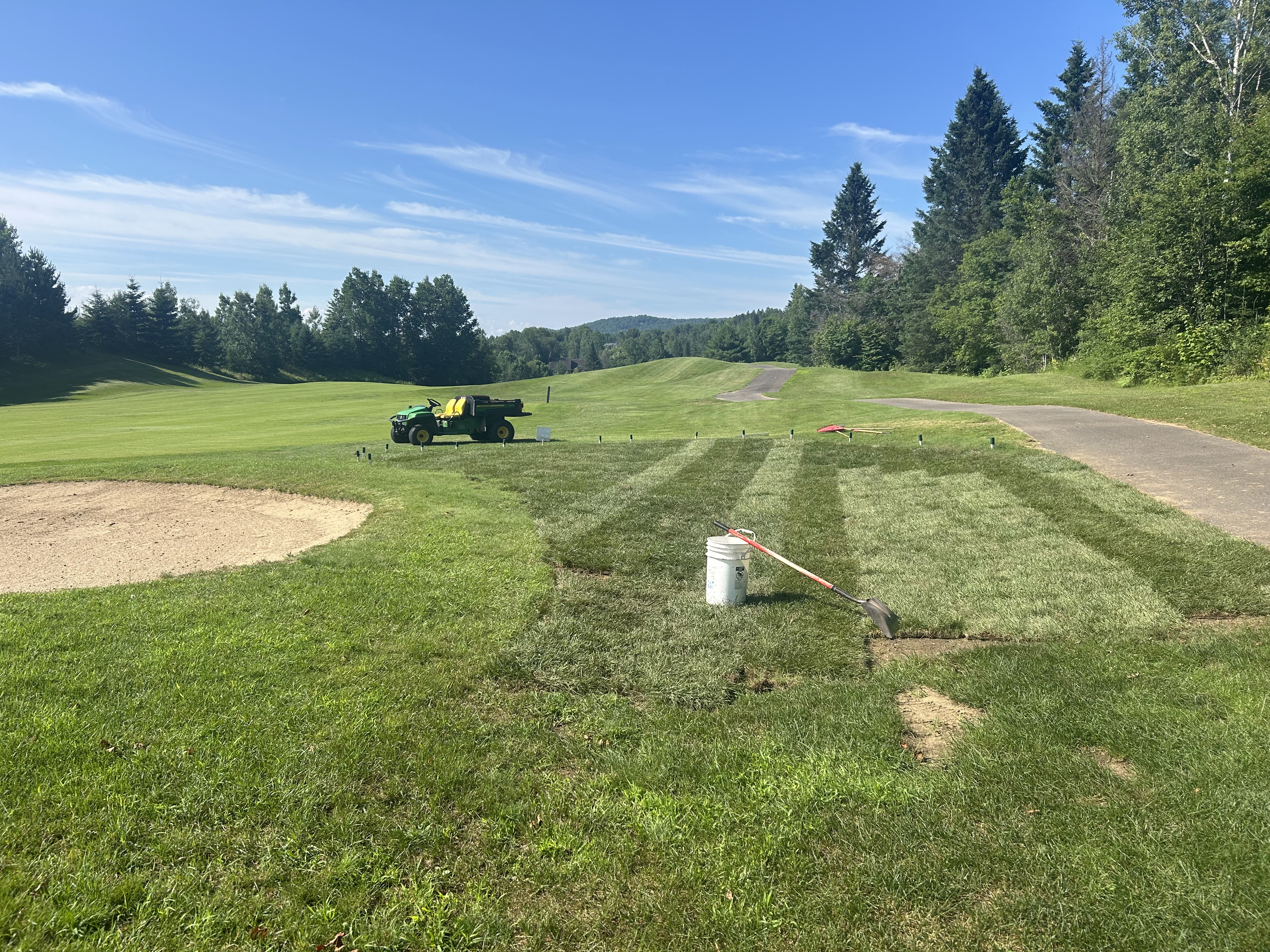 Turf_2.jpeg (4032×3024)