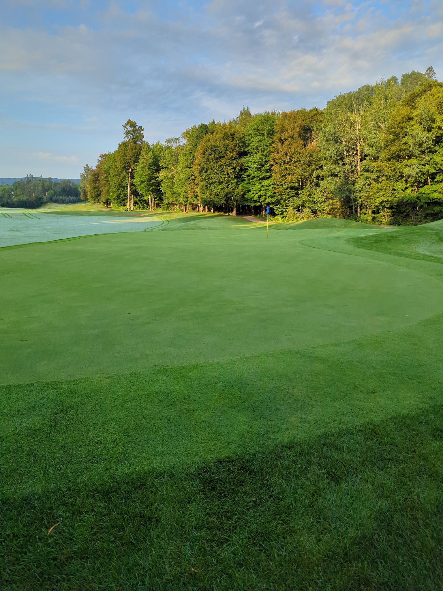 turf3.jpg (1536×2048)