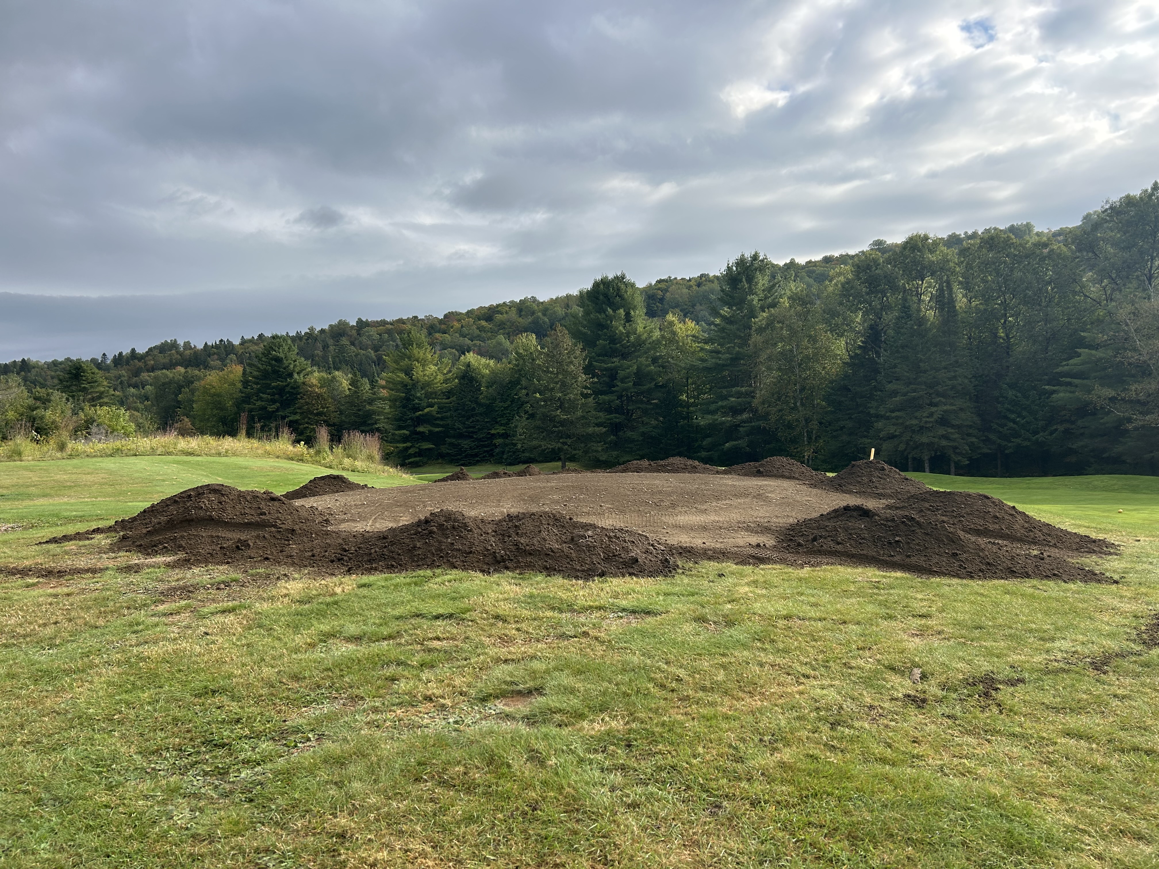 Turf3.jpeg (4032×3024)