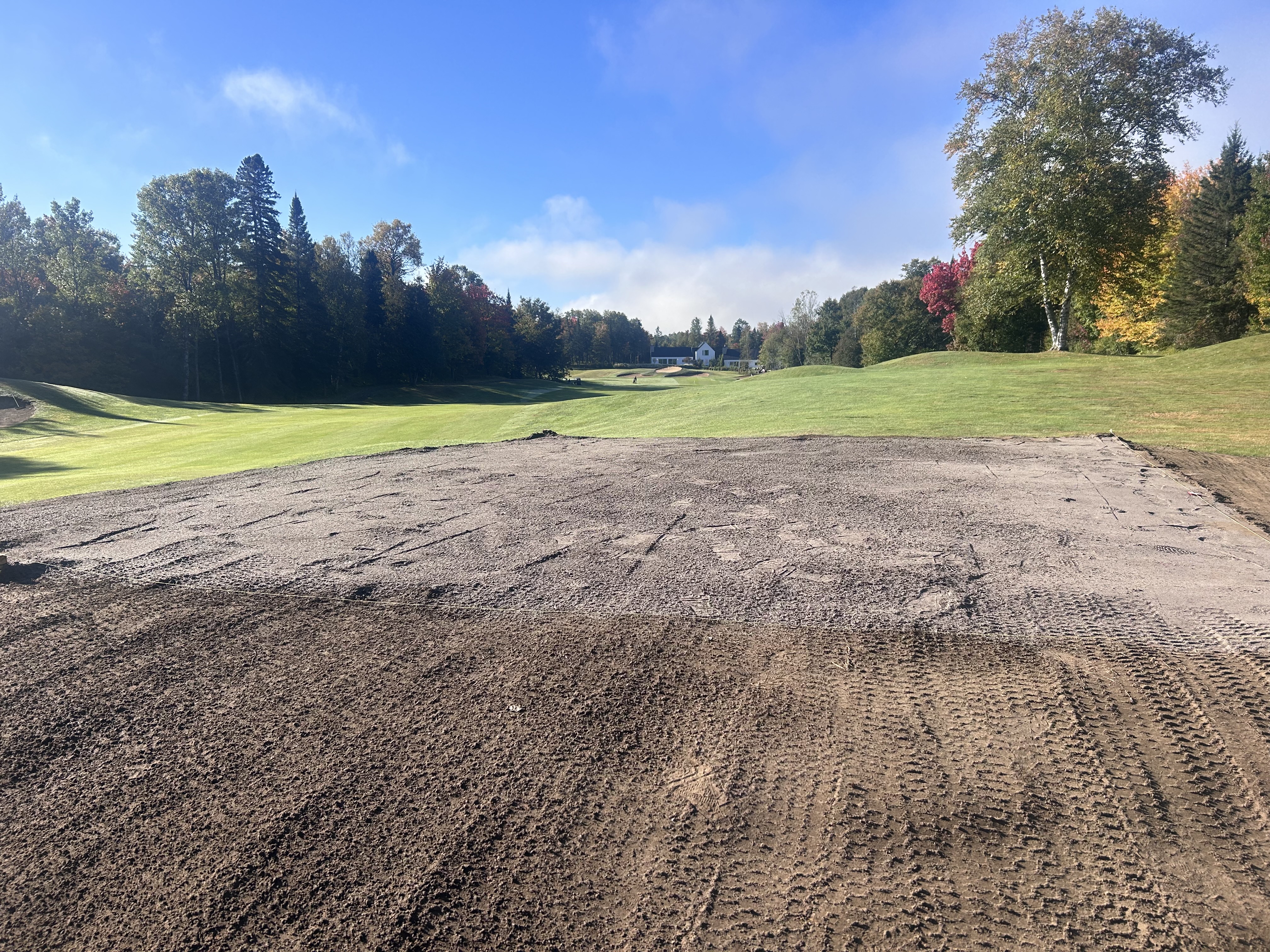 Turf3.jpeg (4032×3024)